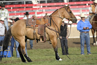 Pendleton Slack Tuesday