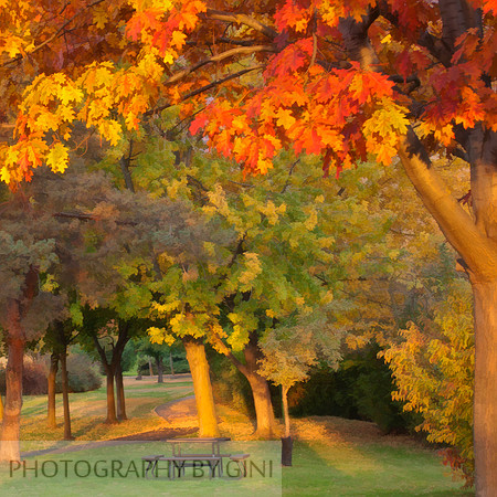 Autumn on the Levee