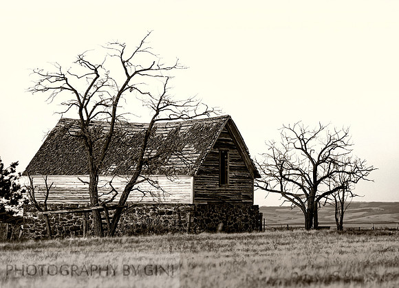 The Old Homestead