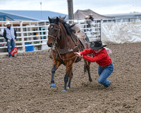 Girl's Goat Tying