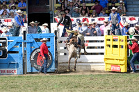 Perf 3 Saddle Bronc