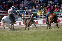 Perf 3 Team Roping