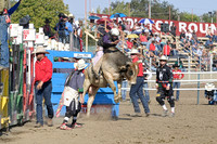 Perf 3 Bulls