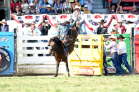 Saddle Bronc