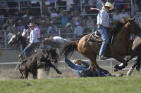 Steer Wrestling