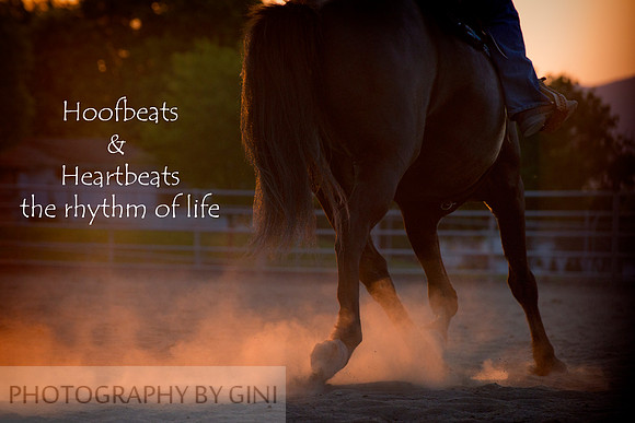HoofbeatsandHeartbeats