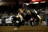 Saddle Bronc