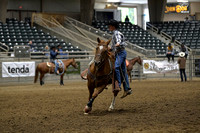 Steer Roping