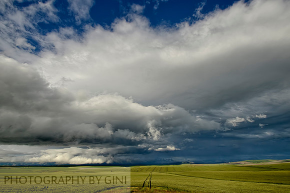 Prairie Clouds