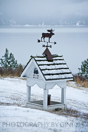Winter Moose Welcome