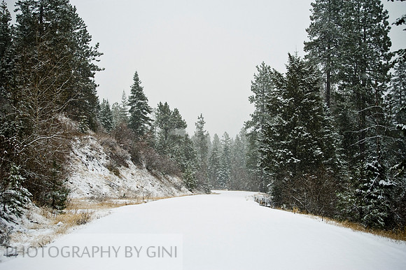Winter Roads