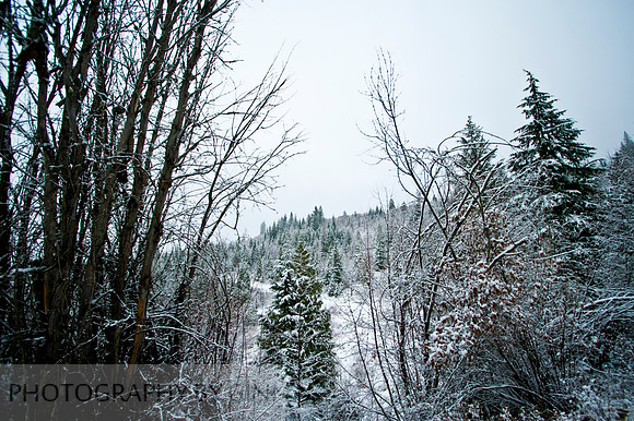 Beautiful Snowy Mountains