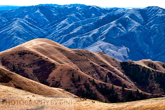 Elk Mountain