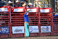 Bulls