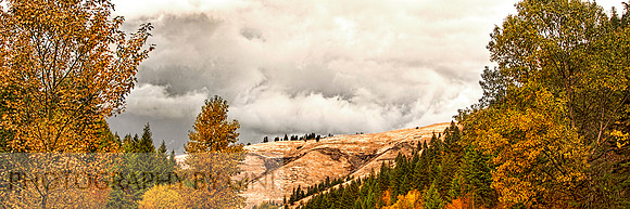 Autumn Glory