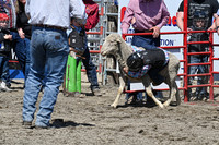 Saturday Mutton Busting