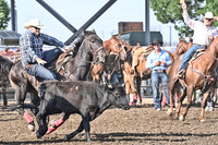 WW Steer Wrestling Slack