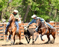 Steer Wrestling