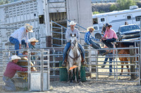 Steer Wrestling