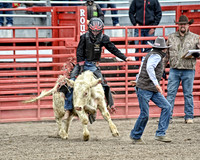 Saturday Roughstock
