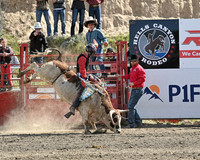 Saturday Jr Bulls