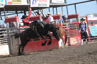 Rough Stock