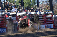 Bull Riding