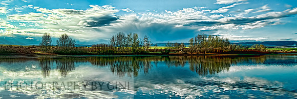 Blue Reflections