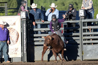 Xtreme Mini Bulls