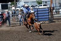 Steer Roping