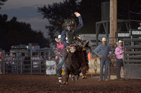 Perf Mini Bulls