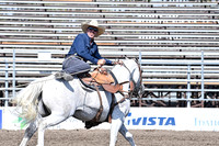 LWS Steer Roping