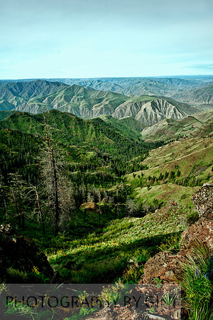 Zaza Valley