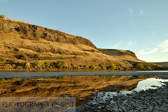 Summer Reflections