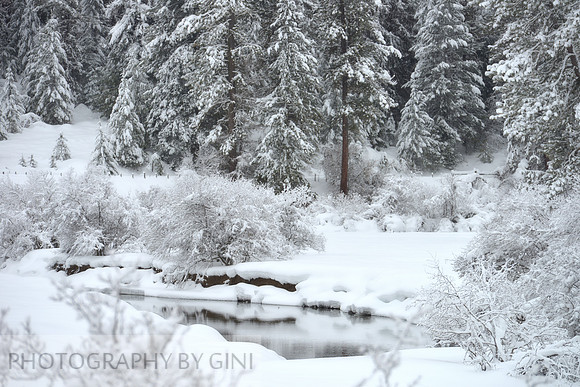 Winter Peace