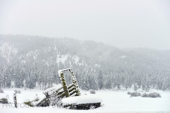 Winter's Past