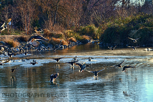 Morning Gathering