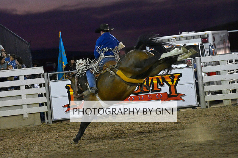 Photography by Gini | Hermiston Farm City Rodeo
