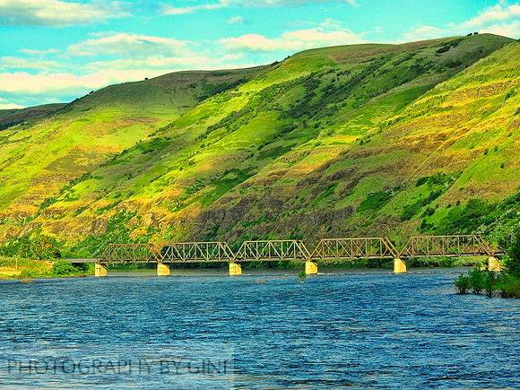 Clearwater River RR Bridge Landscape