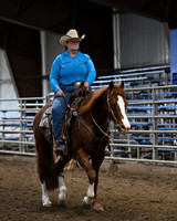 Pleasure Horse