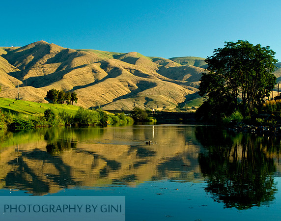Lewiston Hill Reflections
