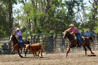 Team Roping