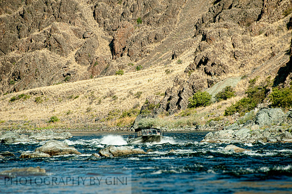 River Rapids