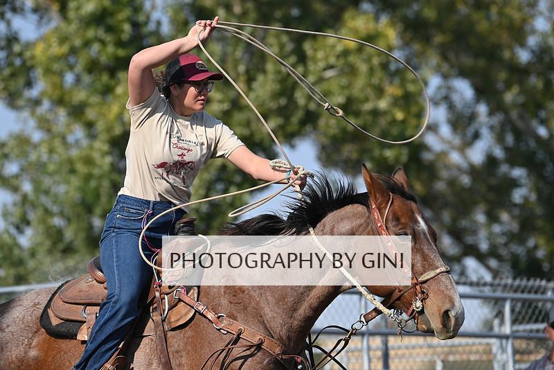 Cyclone Fanning Roping Photography by Gini | Round 3 - Roping