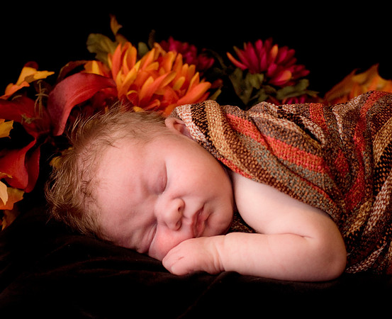 Lucee with Autumn Flowers