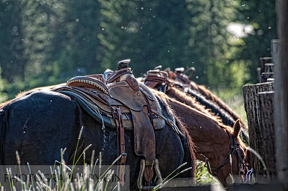 Resting after the Ride