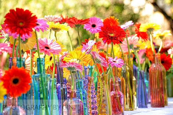 Table full of Happiness