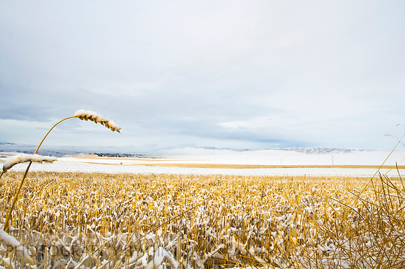 1st Snow Over Lewiston