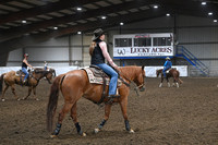 Reining - Cattle Work