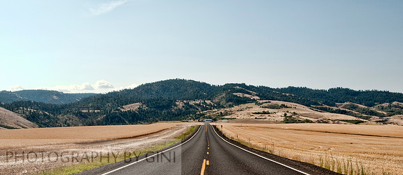 To the Mountains
